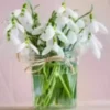 muguet rituel